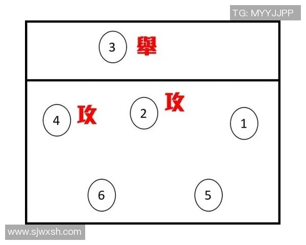 上海排球队的灵活性探索与战术创新分析 上海排球队的灵活性探索与战术创新分析