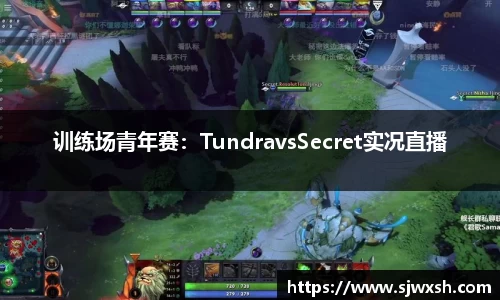 训练场青年赛：TundravsSecret实况直播