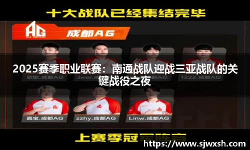 2025赛季职业联赛：南通战队迎战三亚战队的关键战役之夜